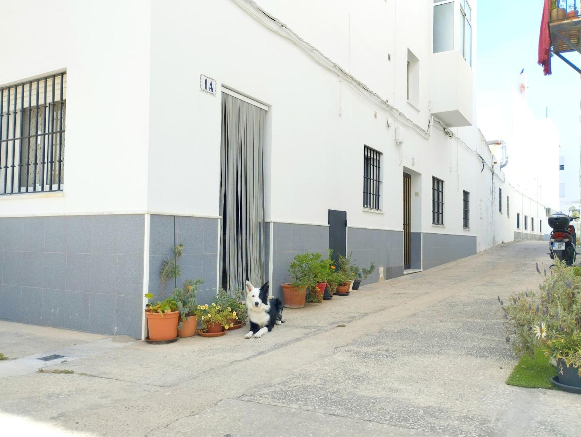 Anita Conil Apartment Conil De La Frontera